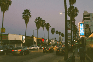 Weekday Manny M-F 2pm-7pm $35/h